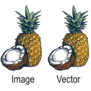 vector artwork 6